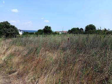 Verkauf - Baugrundstück in Detelina,  Warna