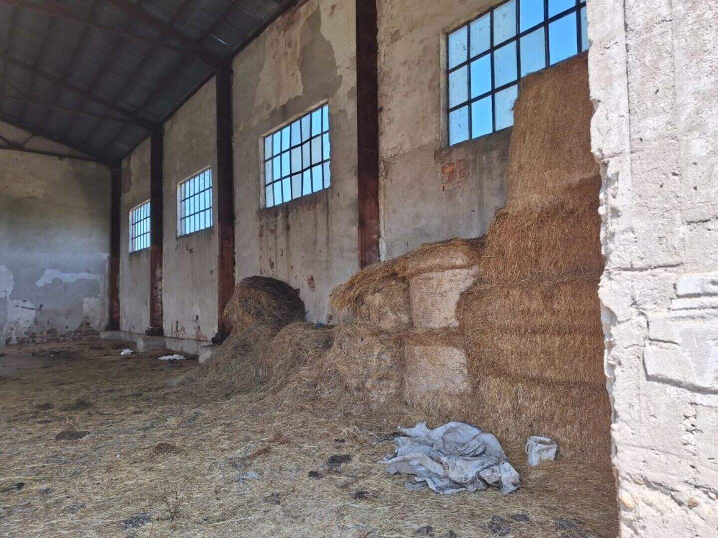 Industriegebäude in Gorsko Sliwowo, Lowech – Foto 6