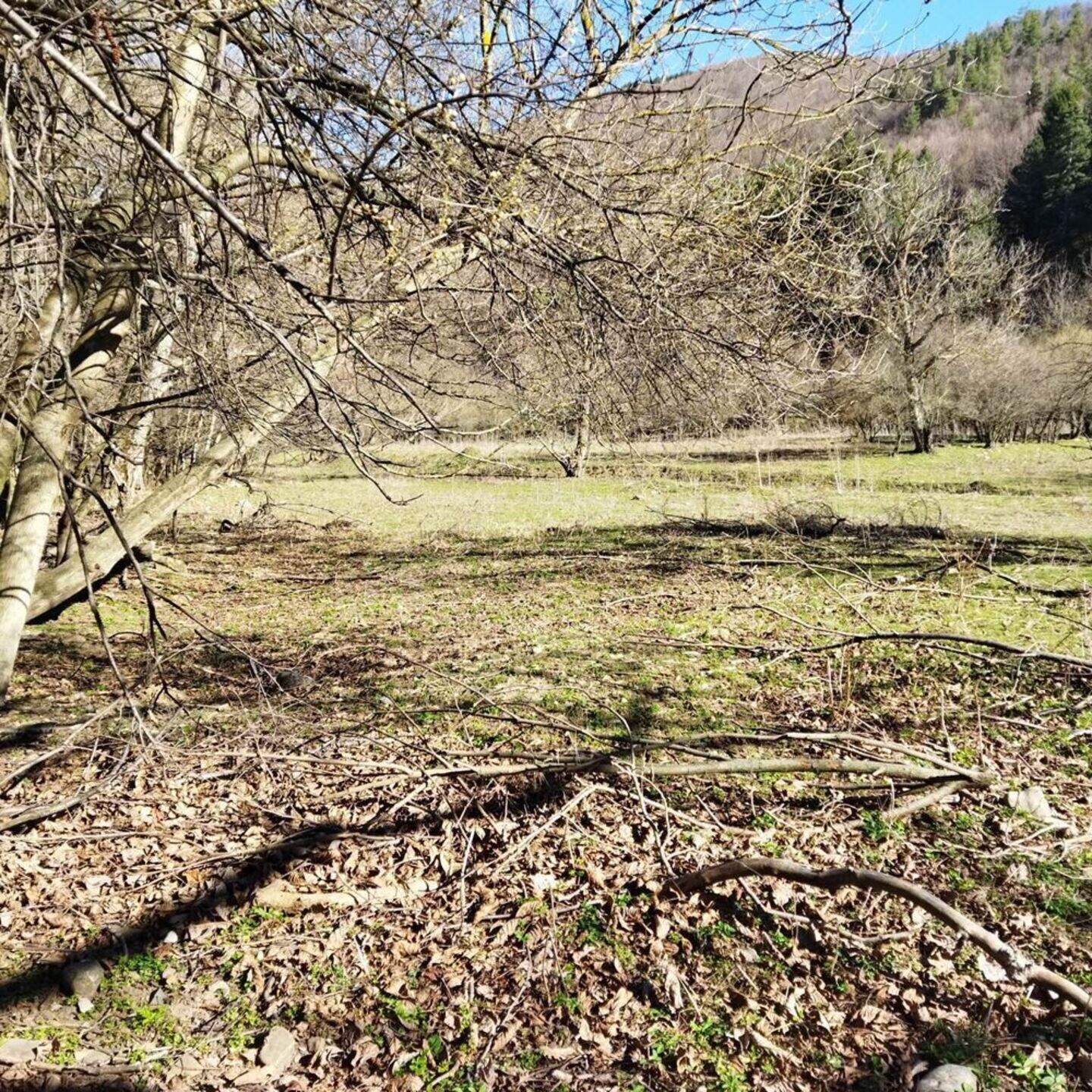 Teren de construcții în Iceera, Sliven – fotografia 2