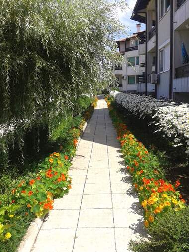 For sale - Apartment in Lozenets,  Burgas