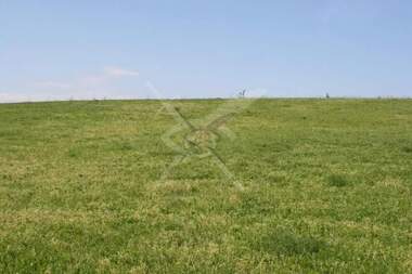 For sale - For Construction in Selci,  Plovdiv