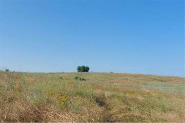 For sale - For Construction in Biala,  Varna