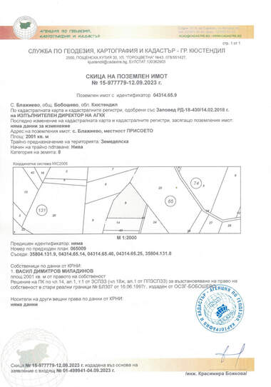 For sale - Agricultural land in Blajievo,  Kiustendil