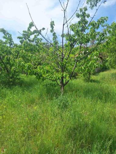 For sale - For Construction in Vilna zona,  Sliven