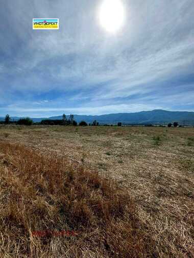 For sale - Agricultural land in Bratanica,  Pazardjik