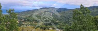 For sale - Orchard in Hrabrino,  Plovdiv