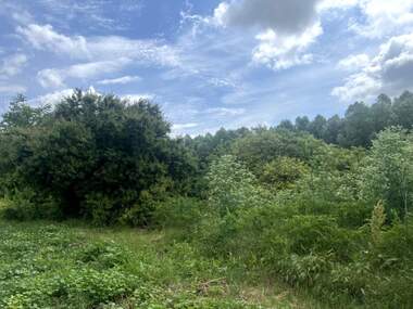For sale - For Construction in Draganovo,  Dobrich