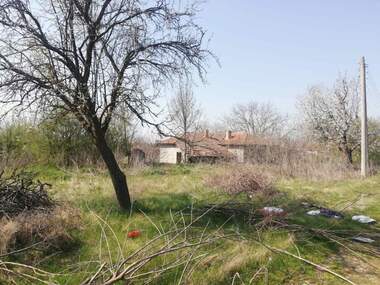 For sale - House in Pchelarovo,  Dobrich