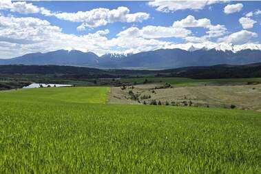 Satış - İnşaat arsası olarak Baçevo,  Blagoevgrad