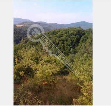 Satış - İnşaat arsası olarak Triavna,  Gabrovo
