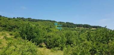 Продажба - Парцел за строителство в Руен,  Пловдив