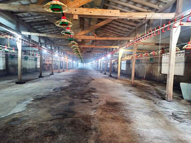 Satış - Endustriyel tesisler olarak Vabel,  Targovishte
