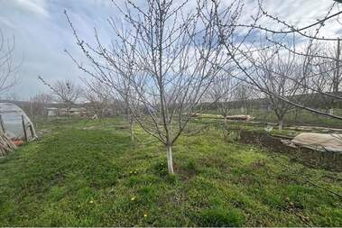 For sale - House in Ilia Blaskovo,  Shumen