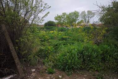 Vânzare - Teren de construcții în Șabla,  Dobrice