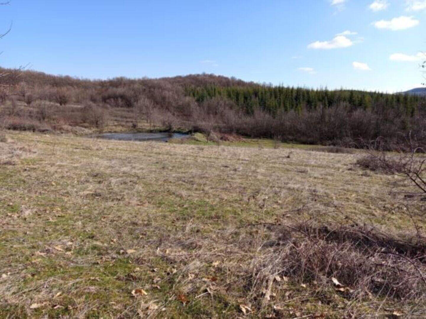 Земледельческая земля в Сестринско, Кърджали – фото 4
