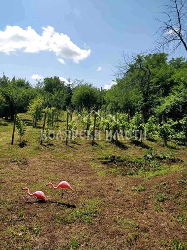 Satış - İnşaat arsası olarak Zona B,  Veliko Tarnovo