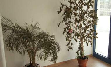 Vânzare - Apartament în Balcic,  Dobrice