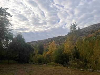 For sale - House in Cherven,  Ruse