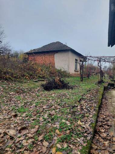 Satış - Asmalıklar olarak Parta 2,  Montana