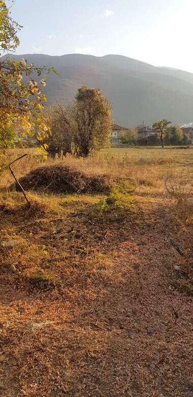 Verkauf - Baugrundstück in Saparewa Bania,  Küstendil