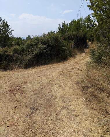 For sale - Orchard in Dupnica,  Kiustendil