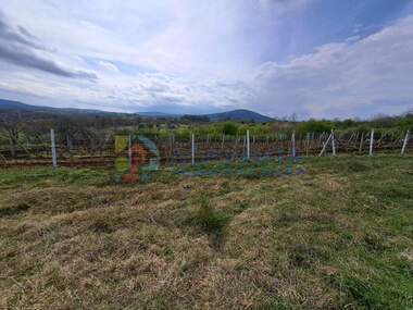 For sale - Vineyards in Carevo,  Burgas