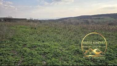 For sale - House in Georgi Dobrevo,  Haskovo