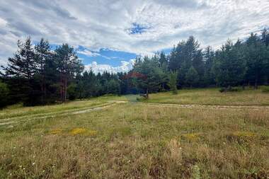 For sale - Agricultural land in Bania,  Blagoevgrad