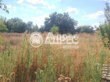 Πώληση - Γεωργική γη σε Белащица,  Пловдив