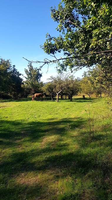 For sale - For Construction in Sapareva Bania,  Kiustendil