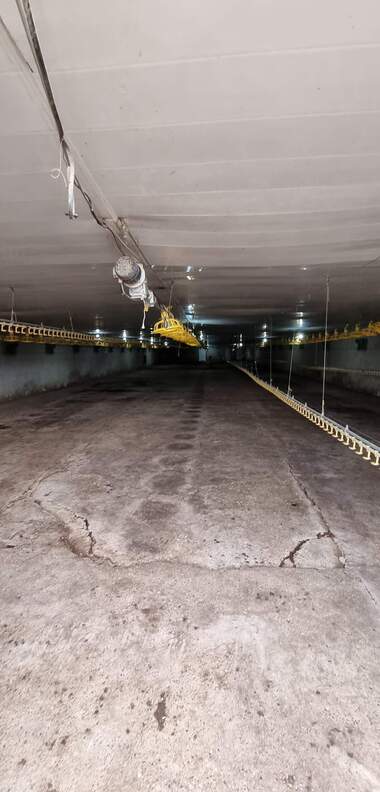 Vânzare - Spațiu industrial în Ușinți,  Razgrad