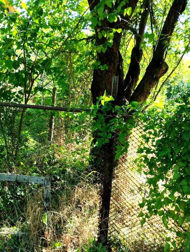 Πώληση - Οικόπεδο για κατασκευή σε Ребърково,  Враца