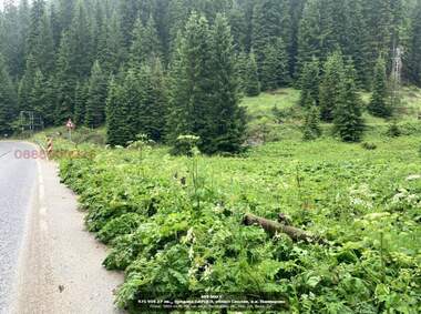 For sale - For Construction in Pamporovo,  Smolian