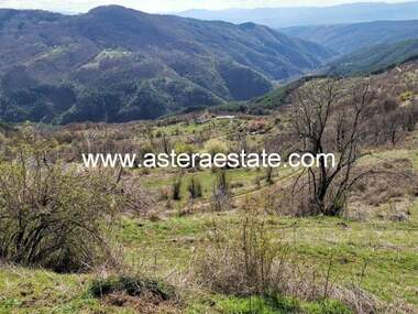Vânzare - Teren agricol în Bistrița,  Blagoevgrad