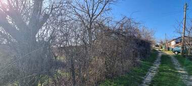 Verkauf - Weinberge in Promischlena zona - Zapad,  Razgrad