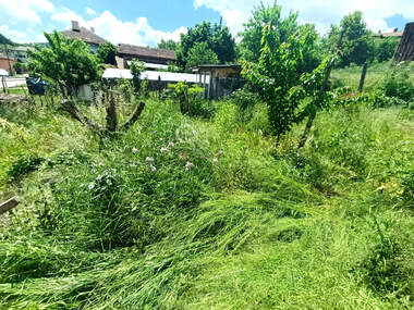 For sale - House in Plachkovci,  Gabrovo