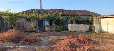 For sale - House in Loznitsa,  Dobrich