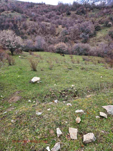 Verkauf - Baugrundstück in Padala,  Küstendil