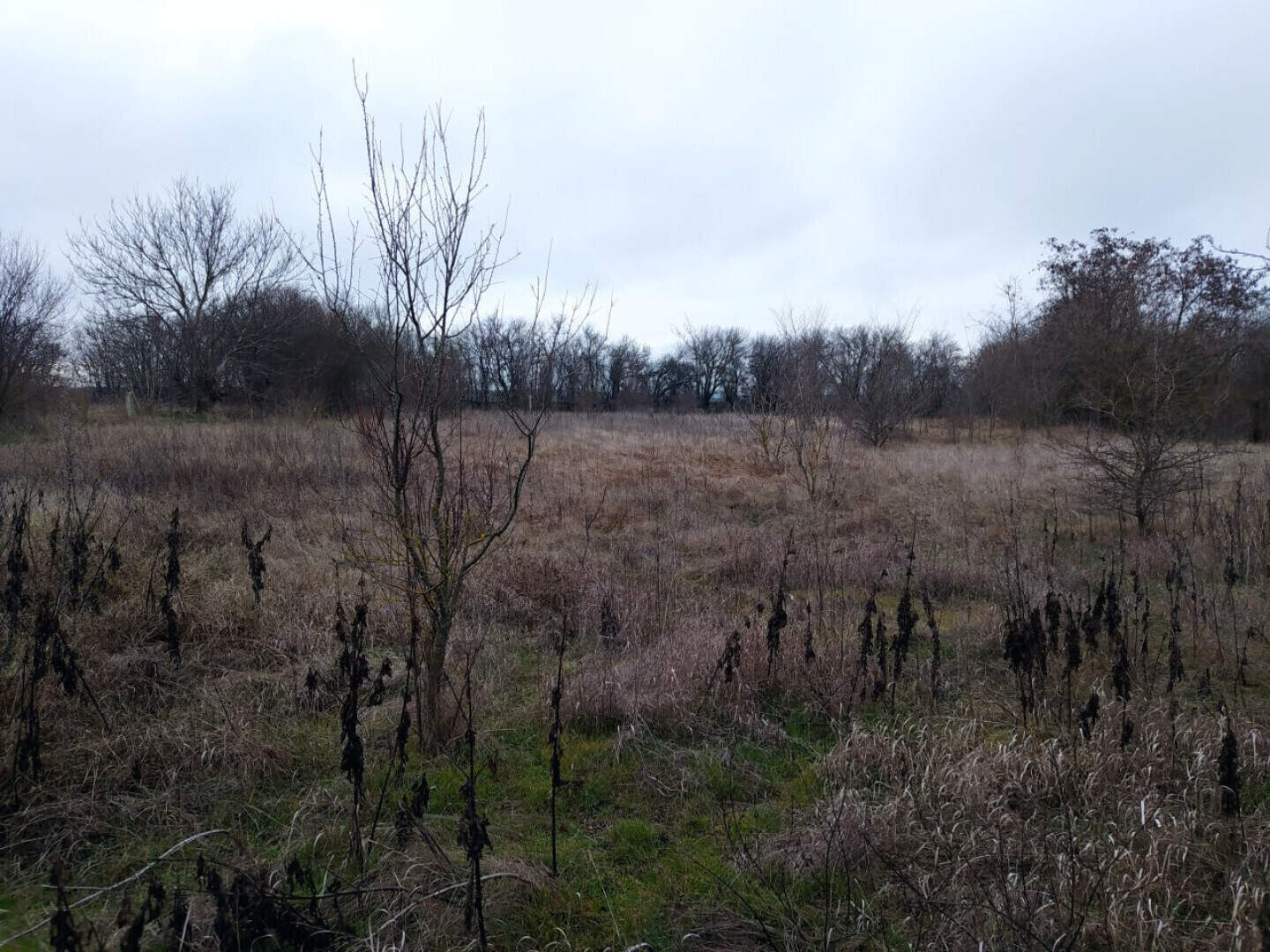Haus in Metlitschina, Varna – Foto 7