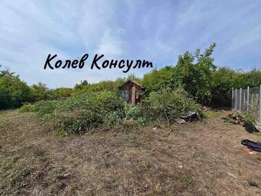 Vânzare - Plantații viticole în V.Z. Kenana,  Haskovo
