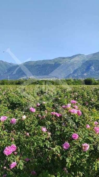 For sale - Agricultural land in Karlovo,  Plovdiv