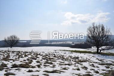 Продажба - Земеделска земя във Велика,  Бургас