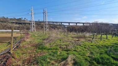 Vânzare - Teren agricol în Promișlena zona - Zapad,  Ruse
