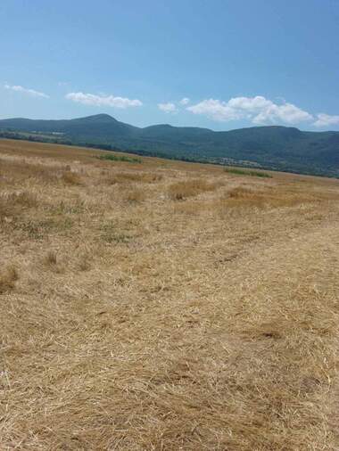 Πώληση - Οικόπεδο για κατασκευή σε Лозен,  София