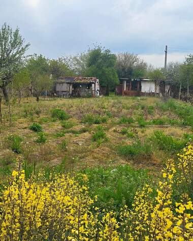 Satış - İnşaat arsası olarak Malo Konare,  Pazarcik