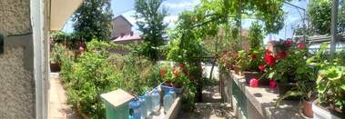 Продажба - Къща в Попово,  Търговище
