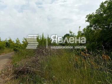 Verkauf - Landwirtschaftlich Grundstück in Zarewo,  Burgas
