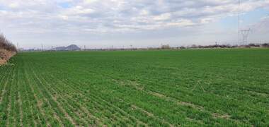 Verkauf - Landwirtschaftlich Grundstück in Üjen,  Plowdiw