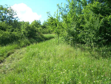 Verkauf - Baugrundstück in Katrandjii,  Gabrowo