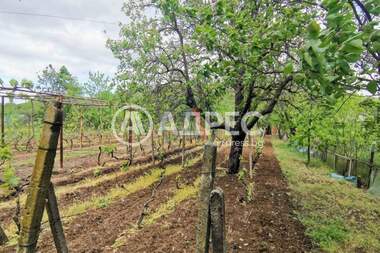 For sale - For Construction in Planova,  Varna